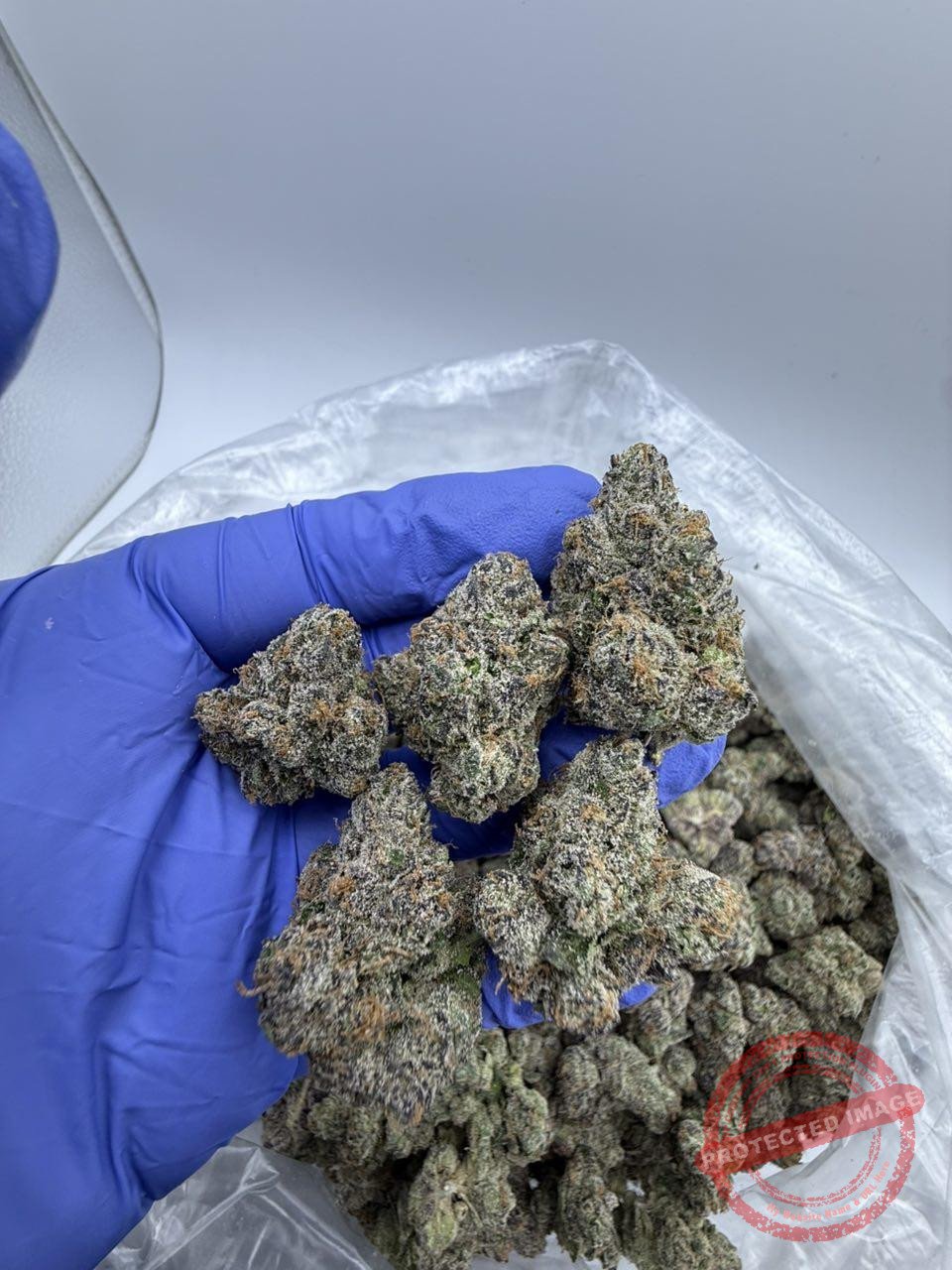 Blue Candy Runts 🍬🍬🍬