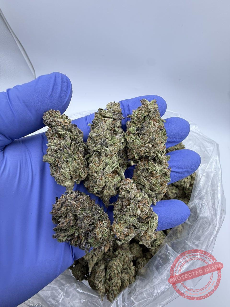 Blueberry Gas ⛽️🫐