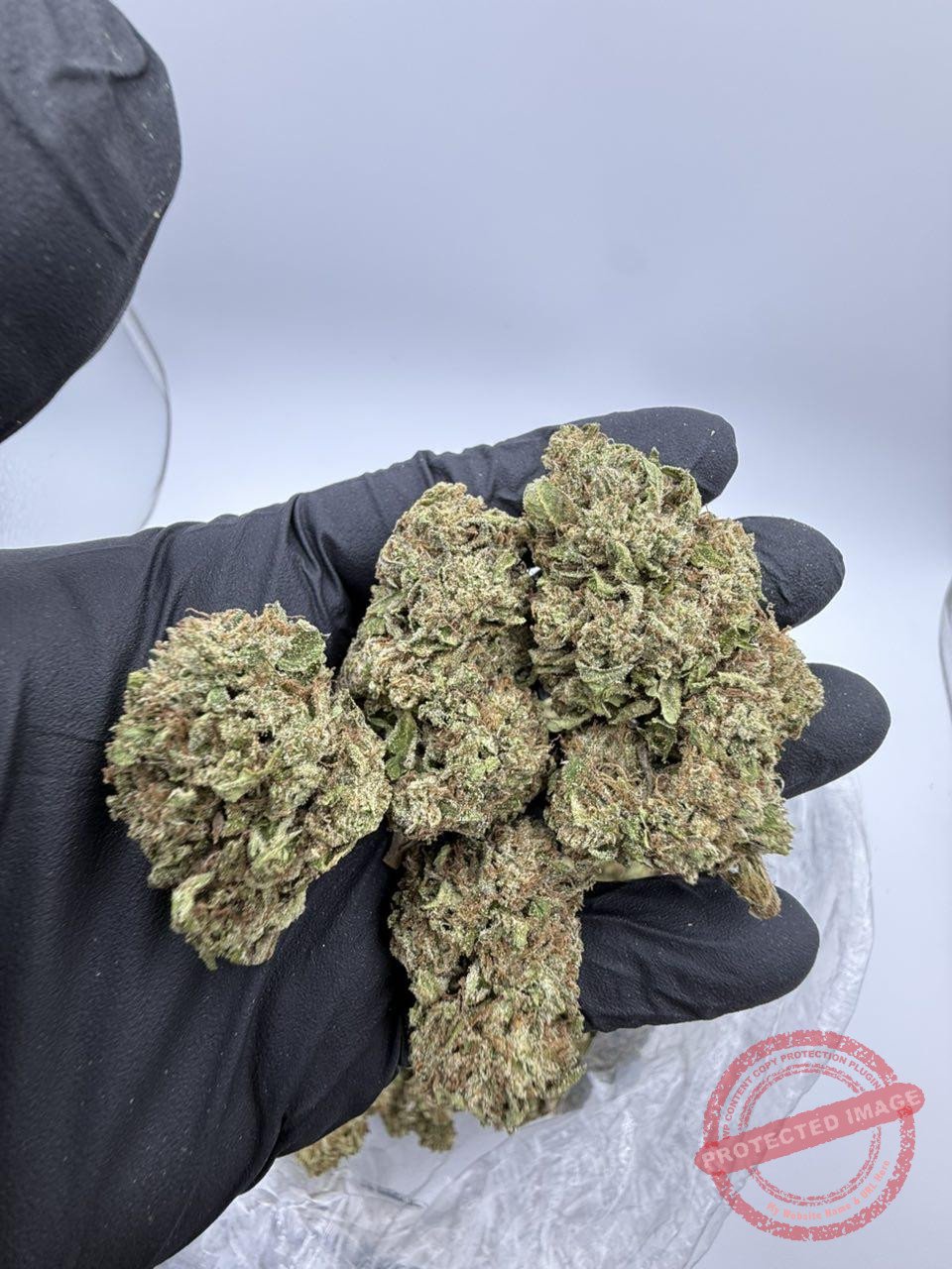 LCG Gumdropz 🍬🍬🍬