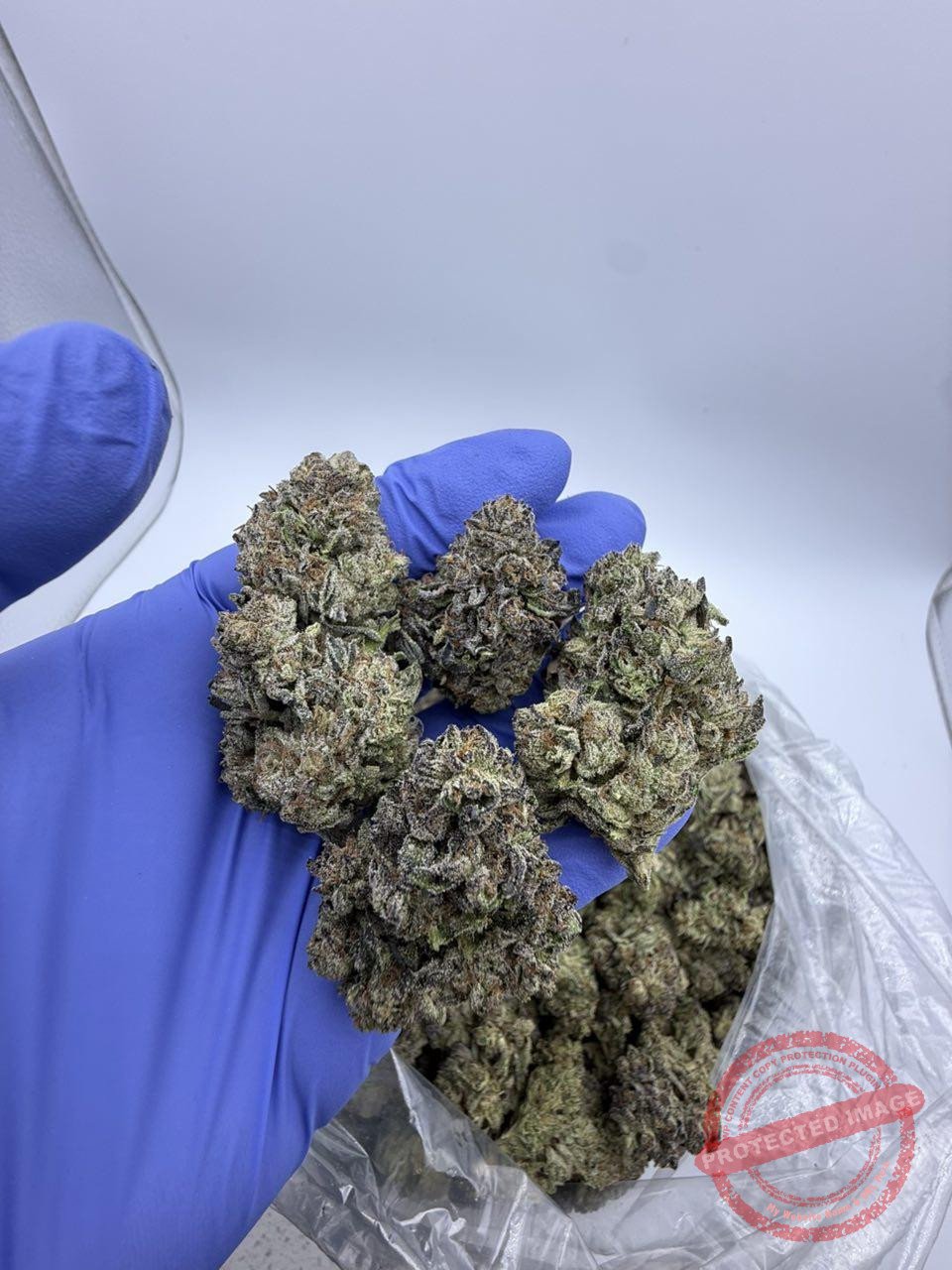 Modified Runts ⛽️🔥