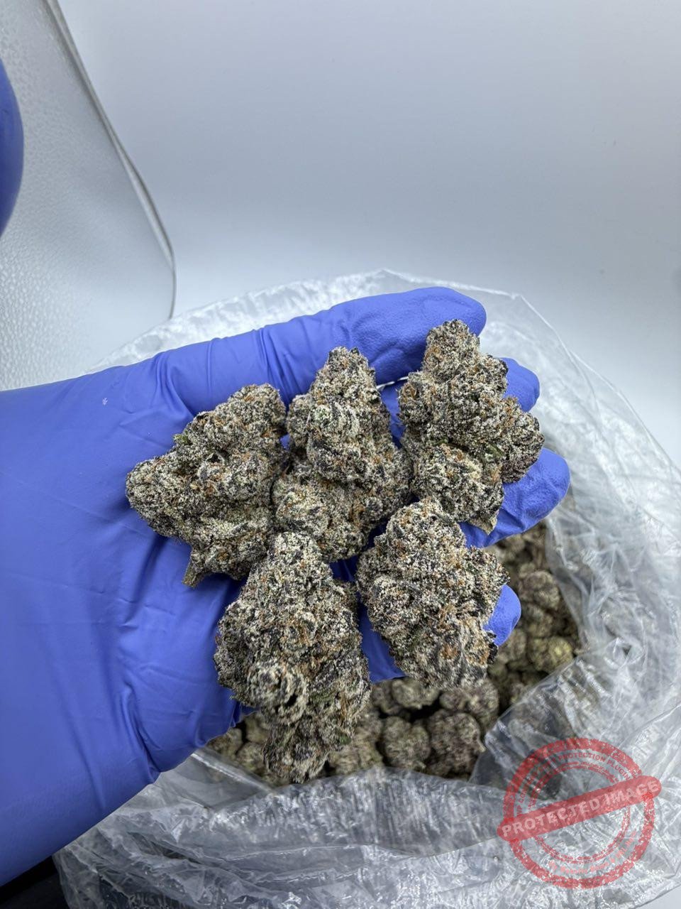 Pink Staburst 🍬🍬🍬